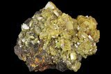 Sandwich Wulfenite Crystal Cluster - Ojuela Mine, Mexico #103479-1